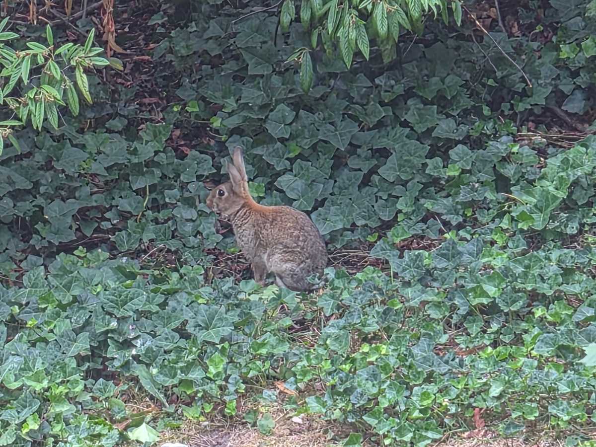 Дневник Samsung Galaxy Z Flip 7: мои первые 48 часов с новым складным телефоном