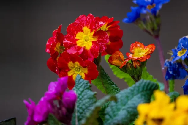 Sigma 500mm F5.6 DG DN OS Sports