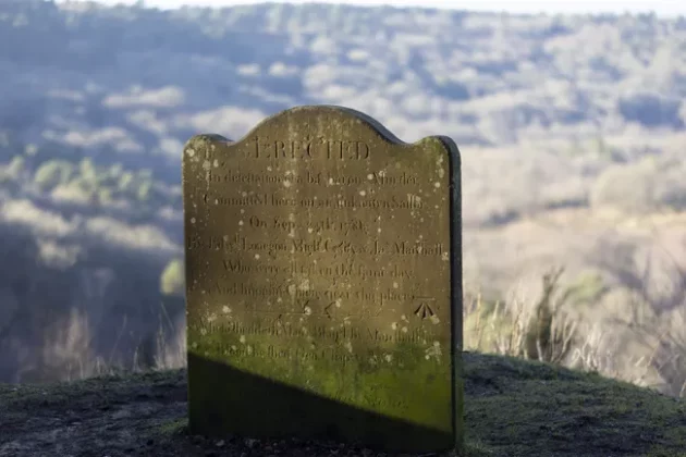 Обзор Sigma 56mm F1.4 DC DN Contemporary: лучший портретный объектив фото