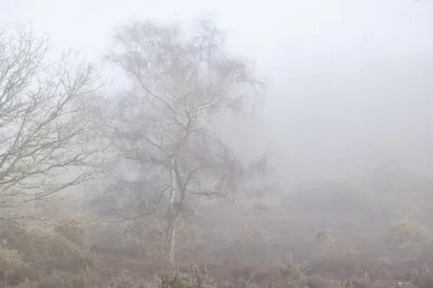 Обзор Sigma 56mm F1.4 DC DN Contemporary: лучший портретный объектив фото