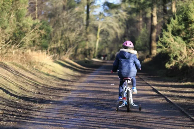 Обзор Sigma 56mm F1.4 DC DN Contemporary: лучший портретный объектив фото