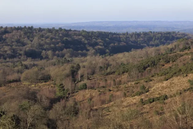 Обзор Sigma 56mm F1.4 DC DN Contemporary: лучший портретный объектив фото