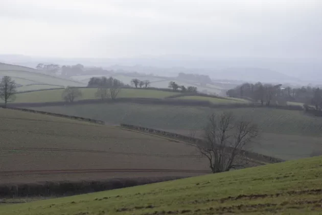 Обзор Sigma 56mm F1.4 DC DN Contemporary: лучший портретный объектив фото