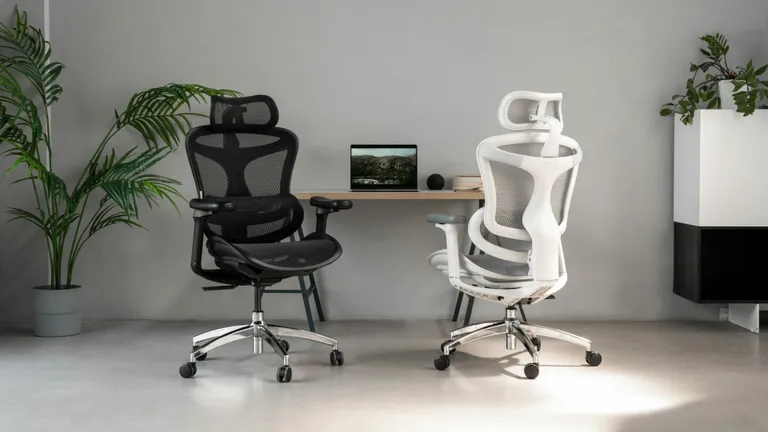 SIHOO Ergonomic