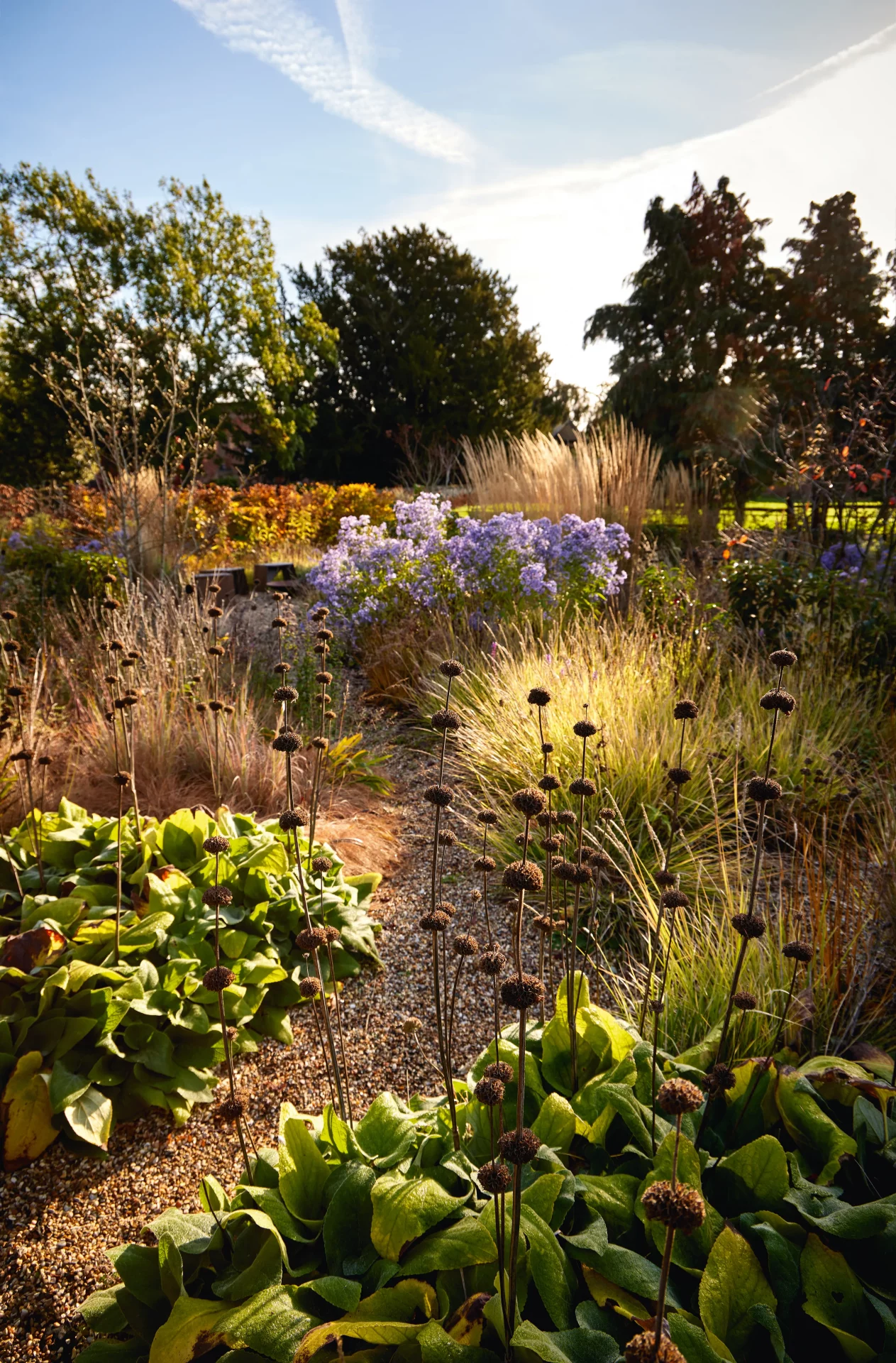 Элегантный натуралистичный сад в одной из самых живописных деревень Эссекса