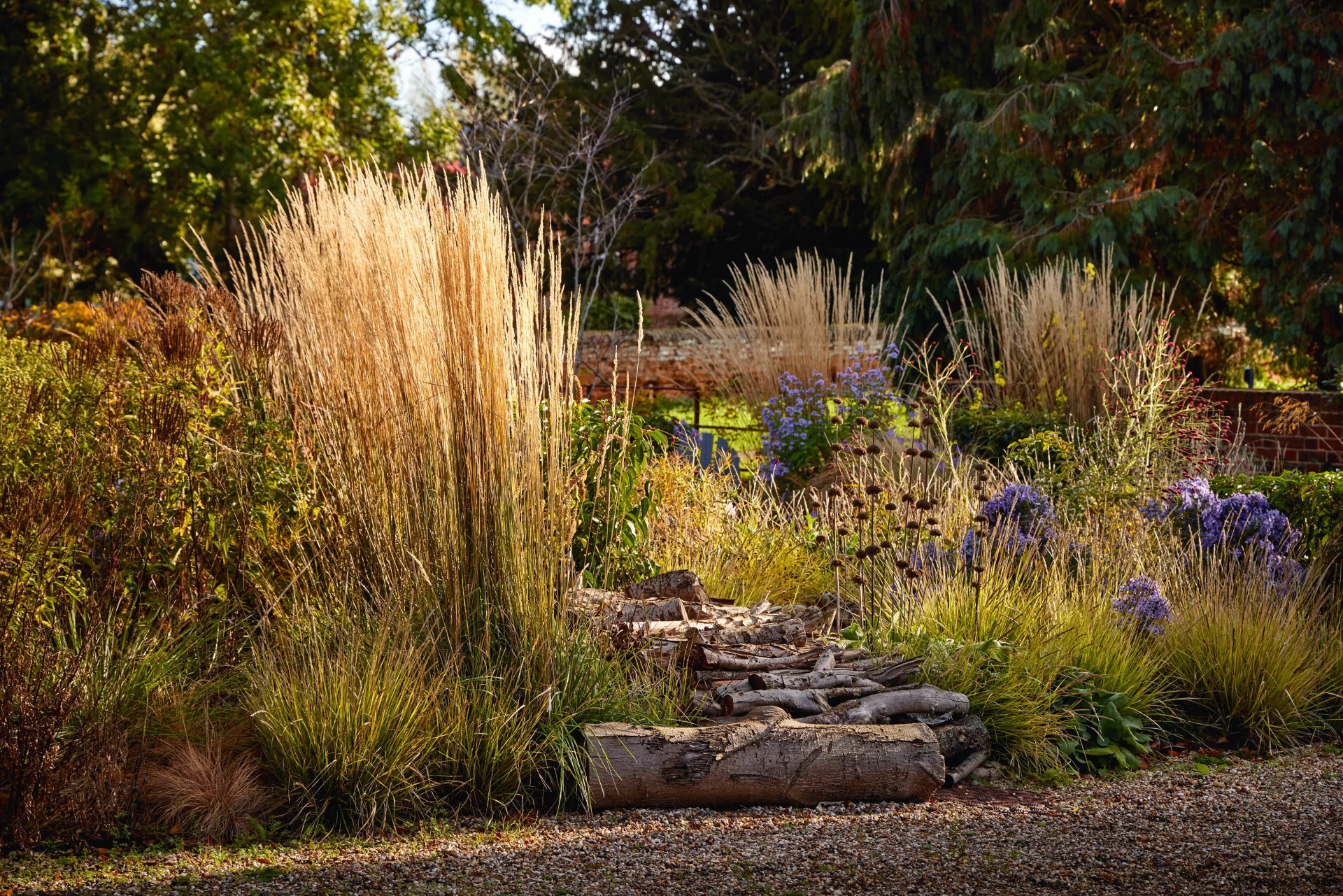 Элегантный натуралистичный сад в одной из самых живописных деревень Эссекса