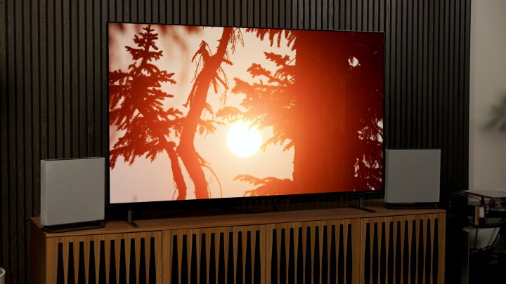 Вы спросили: бюджетная OLED-панель Sony?