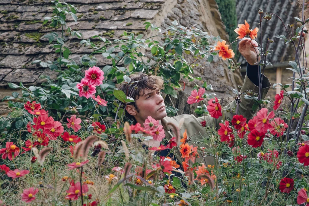 Сорта георгинов