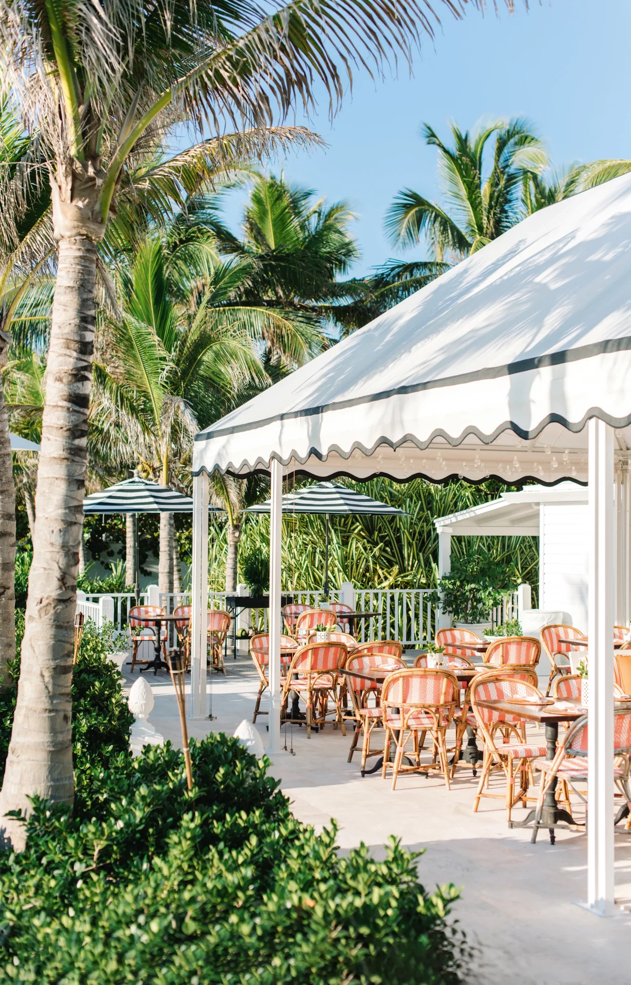 Легендарный отель на Багамах преобразился: новый гламурный облик Coral Sands