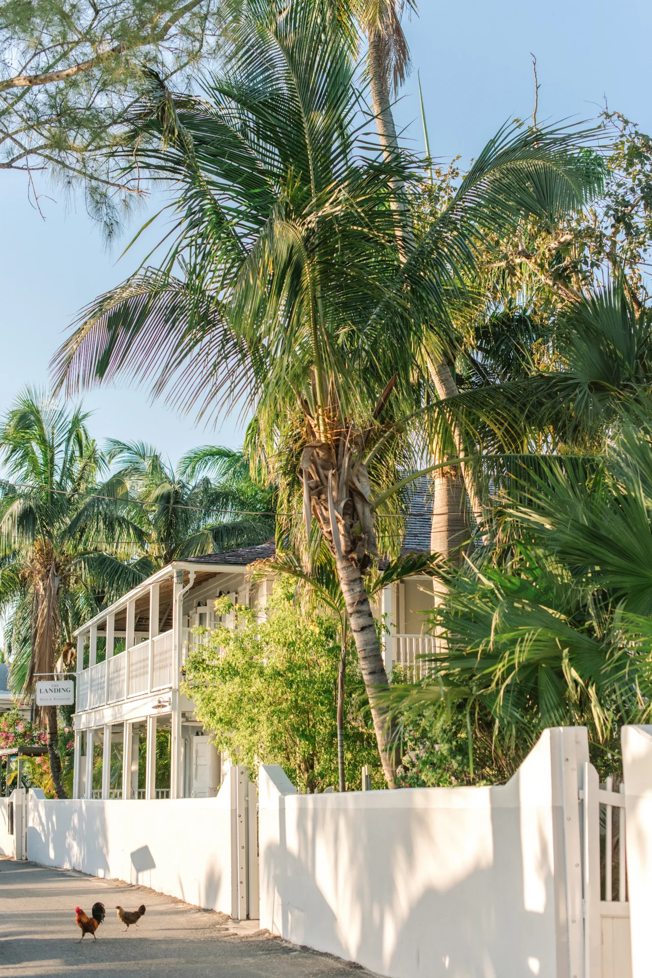 Легендарный отель на Багамах преобразился: новый гламурный облик Coral Sands