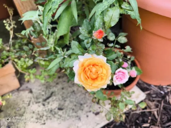 Обзор Ulefone Armor 34 Pro: монстровая батарея и мощный проектор фото