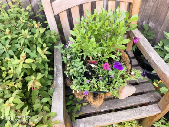 Обзор Ulefone Armor 34 Pro: монстровая батарея и мощный проектор фото