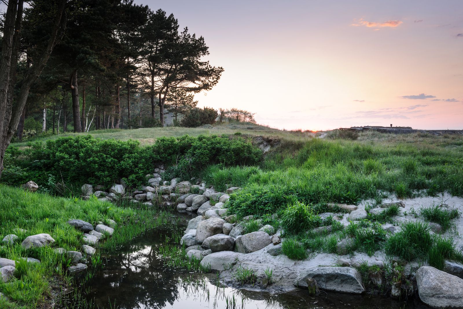 Шведский сад, простирающийся от леса до моря