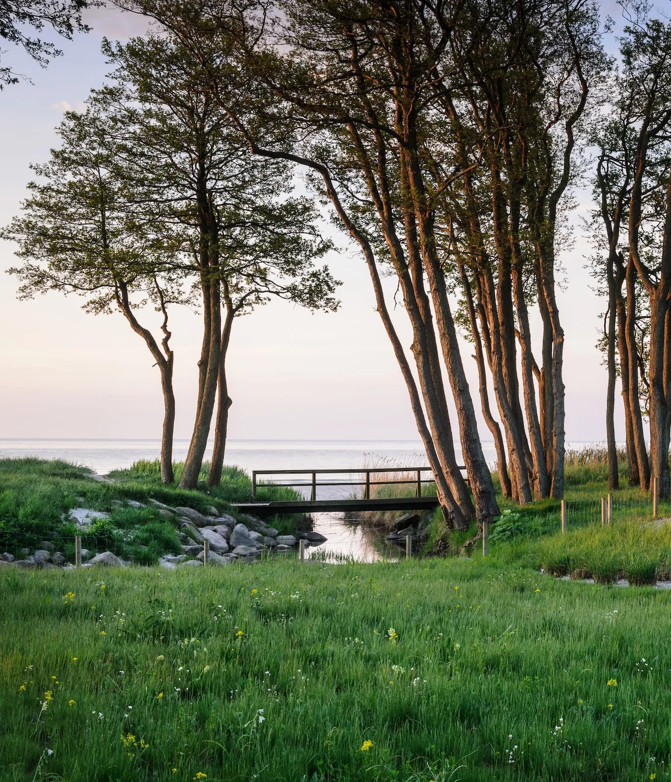 Шведский сад, простирающийся от леса до моря
