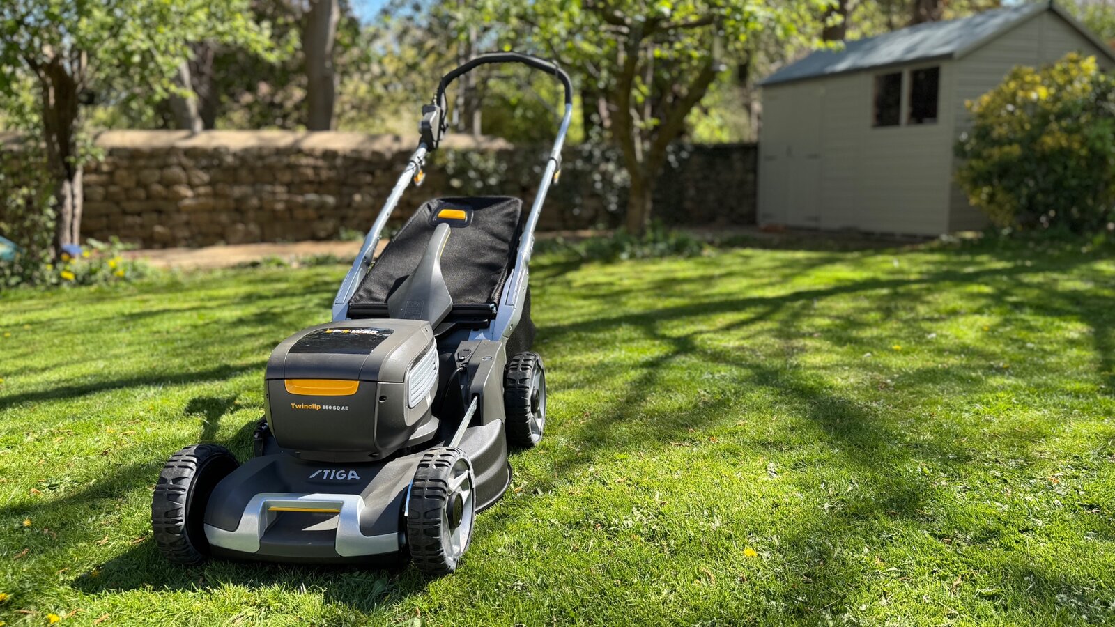 время стрижки газона