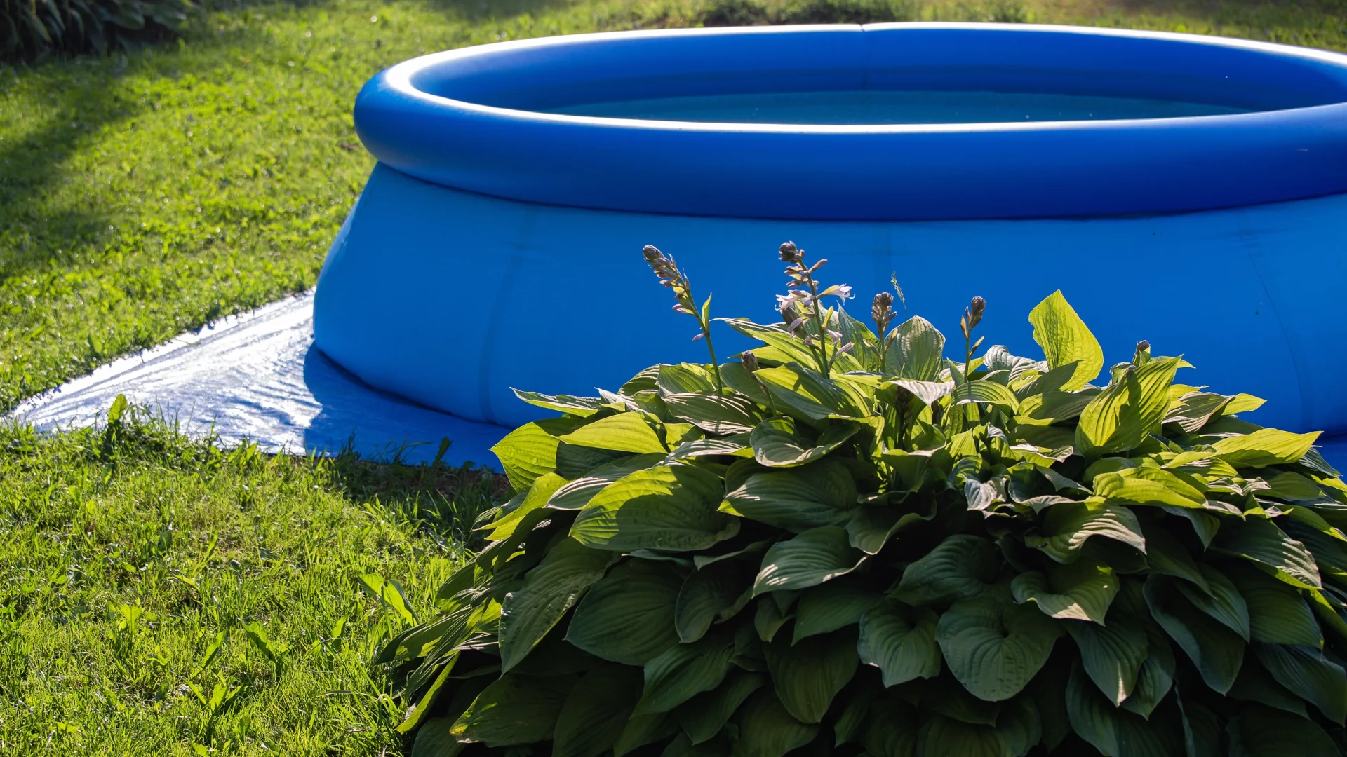 420734Как спасти газон после детского бассейна