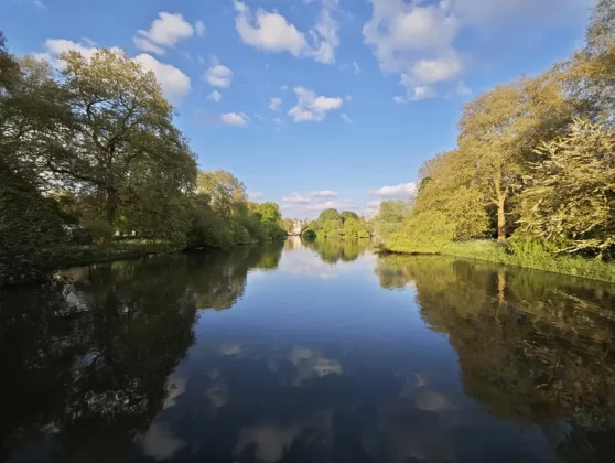 Обзор Xiaomi 15: функционален во всех отношениях фото