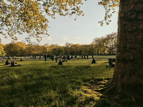 Обзор Xiaomi 15: функционален во всех отношениях фото