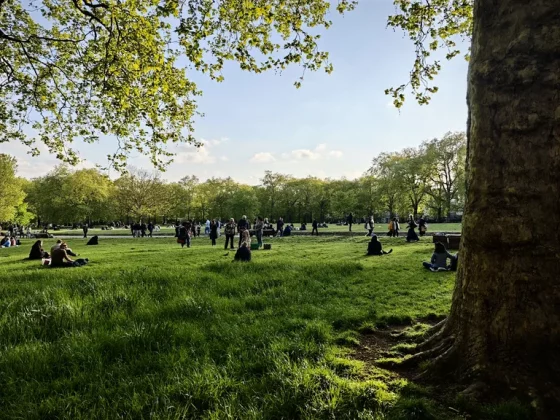 Обзор Xiaomi 15: функционален во всех отношениях фото