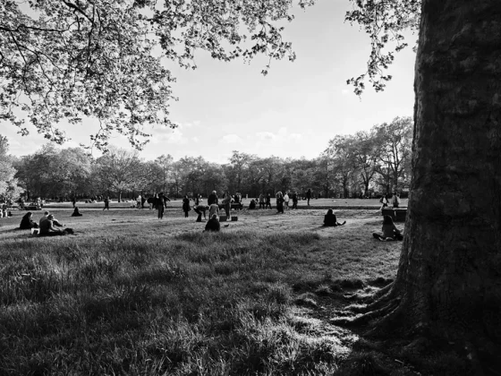 Обзор Xiaomi 15: функционален во всех отношениях фото