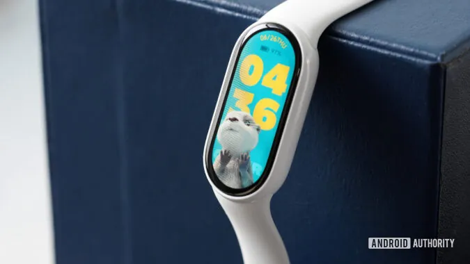  Xiaomi Smart Band 10