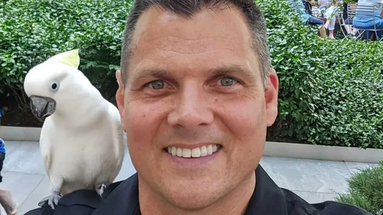 AI-фоторедактор