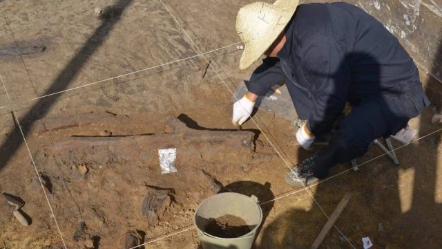 В Восточной Азии найдены древнейшие деревянные орудия — свидетельства продуманных походов за пищей