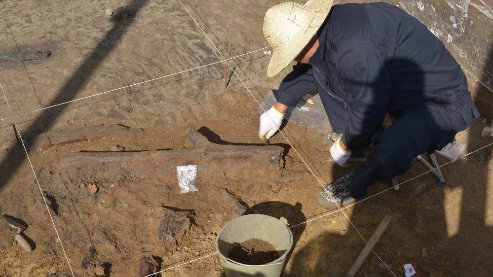 В Восточной Азии найдены древнейшие деревянные орудия — свидетельства продуманных походов за пищей