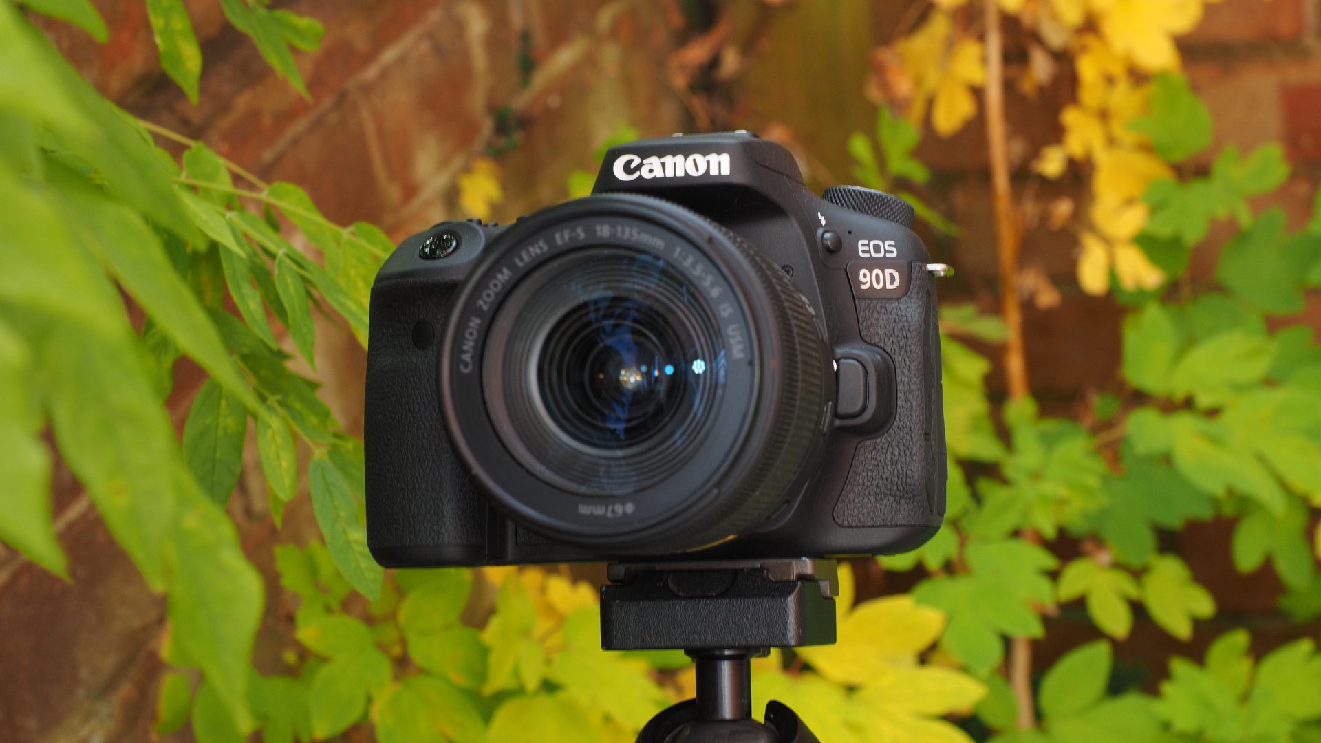 Canon EOS 90D