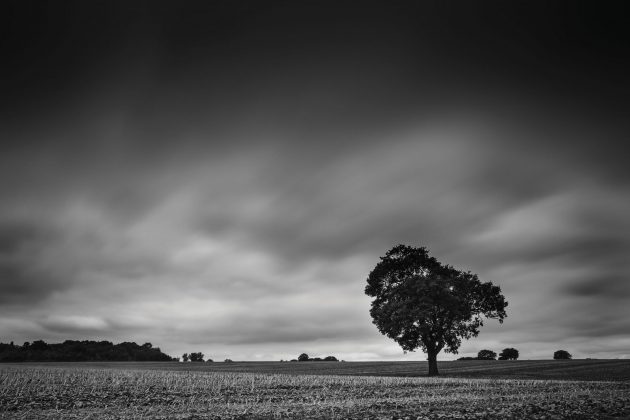 Canon EOS 5D Mark IV