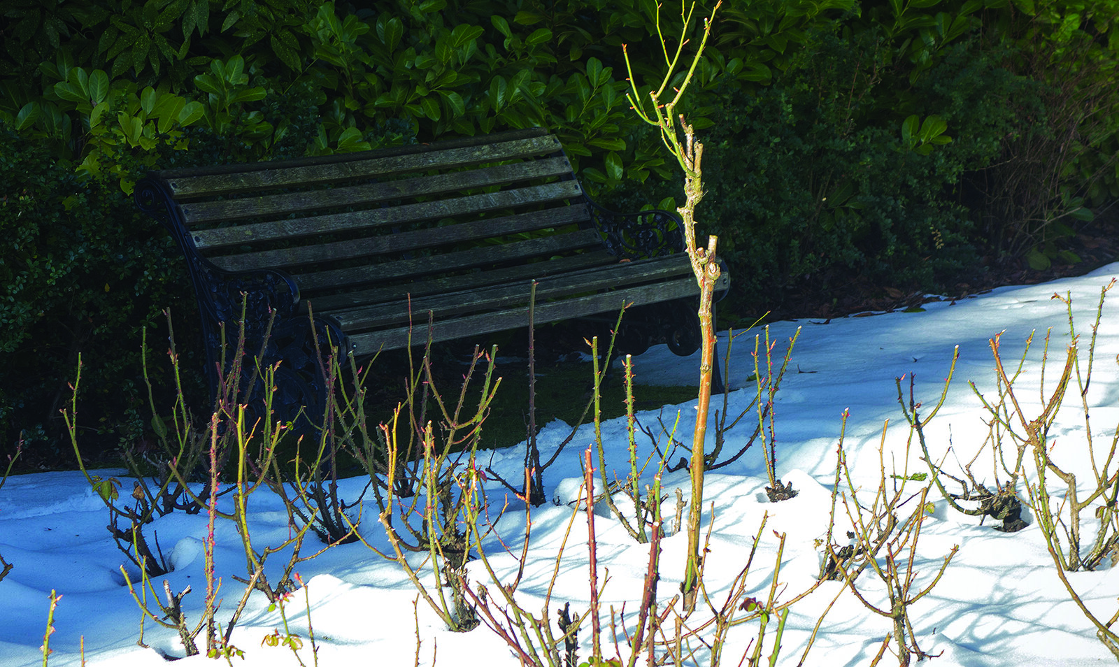 Этот урок по Photoshop 2011 года научил меня большему, чем многие недавние