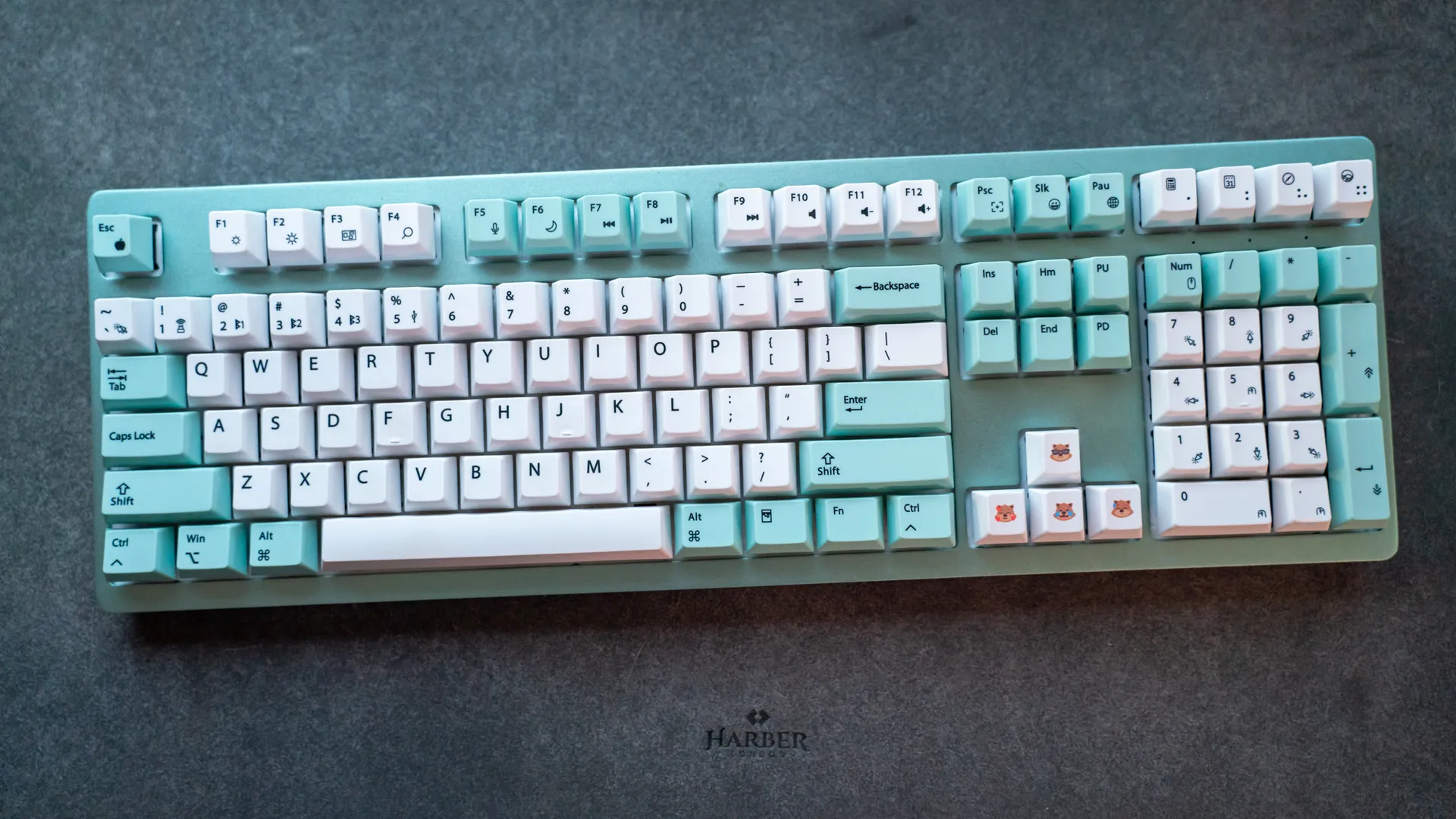 Обзор Wombat Pine Professional