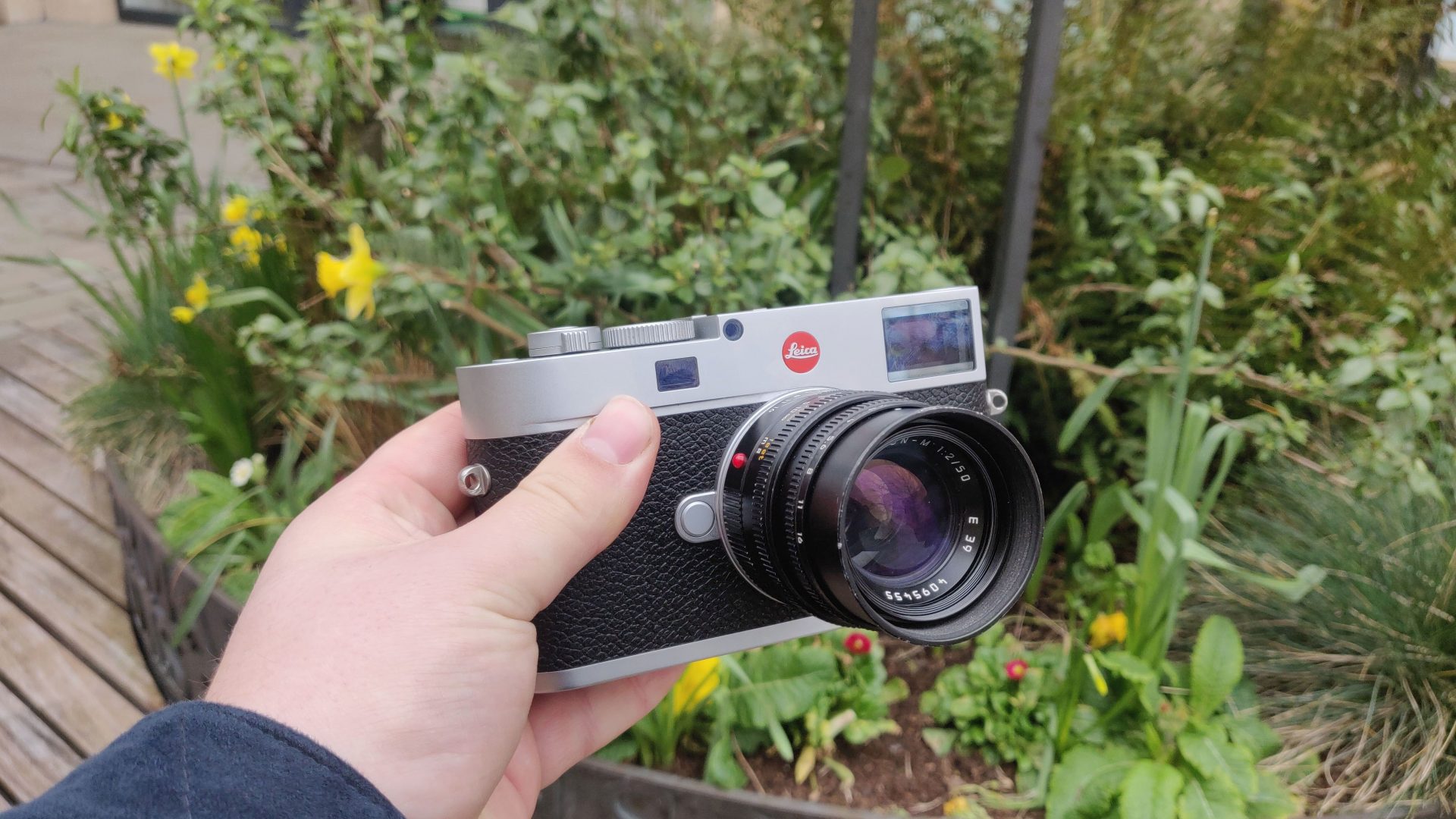 Лучшие объективы Leica M в 2025 году: полный гид покупателя