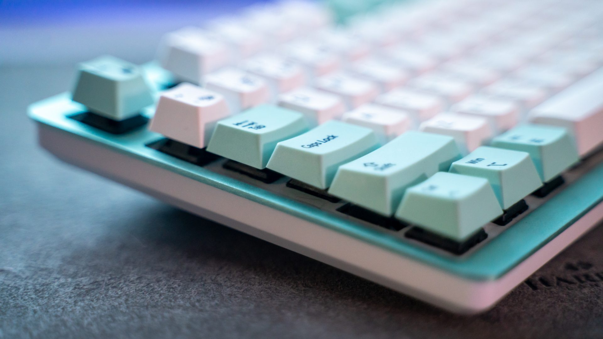 Wombat Pine Professional