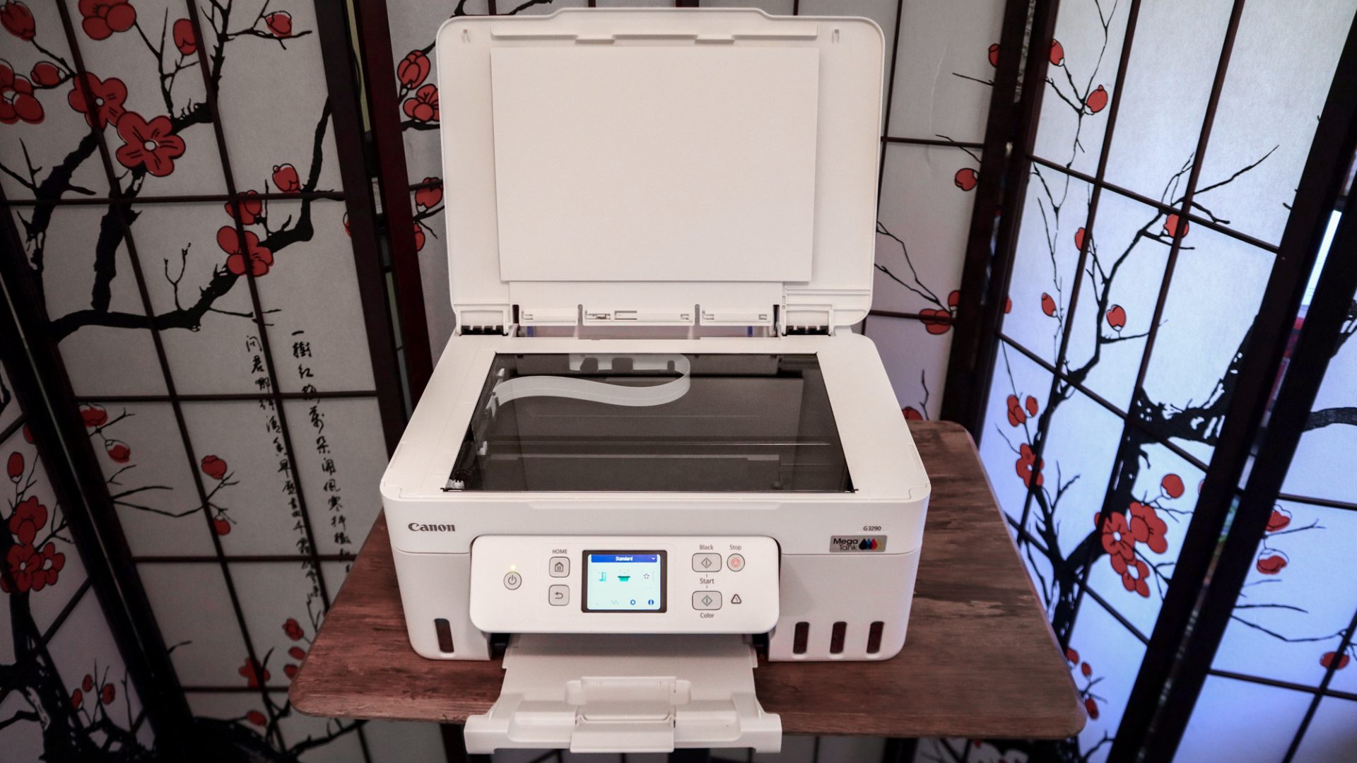 Canon MegaTank Pixma G3290