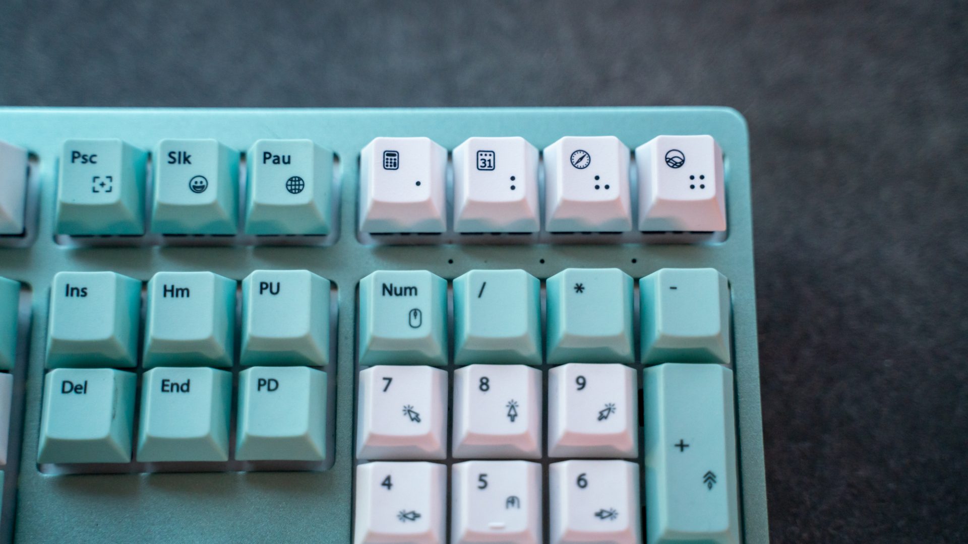 Wombat Pine Professional