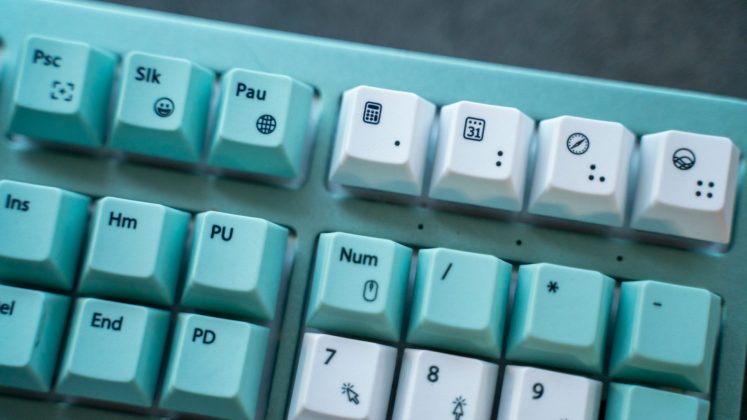 Wombat Pine Professional