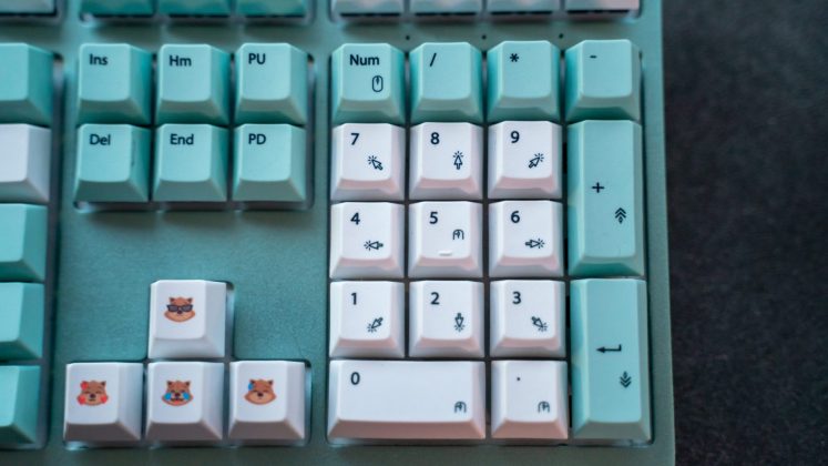 Wombat Pine Professional