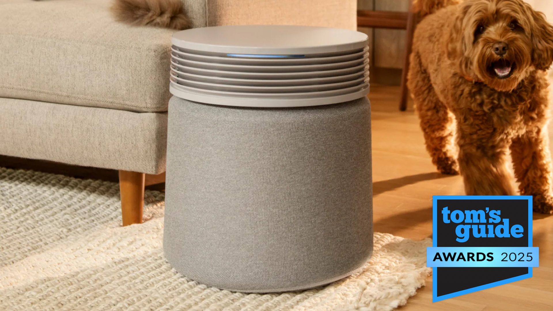 BlueAir Blue Signature