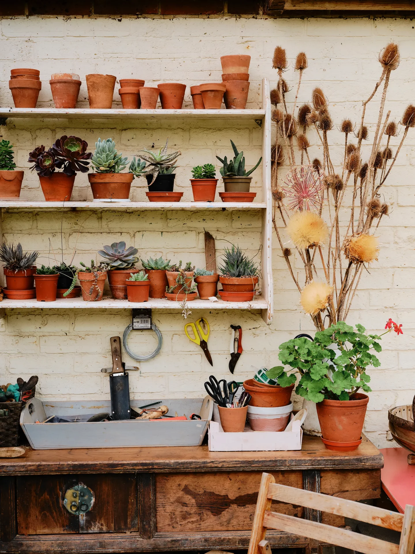 Растения в интерьере: простые и эффектные идеи