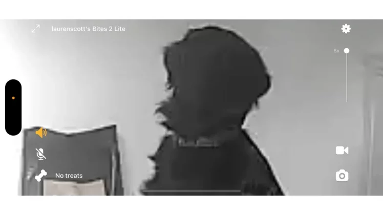 Petcube Bites 2 Lite-10