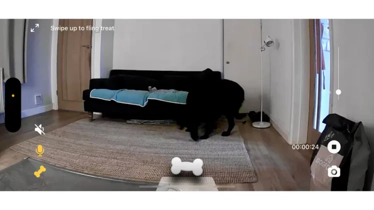 Petcube Bites 2 Lite-11