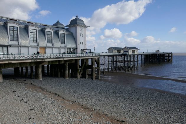 Panasonic Lumix ZS99 / TZ99