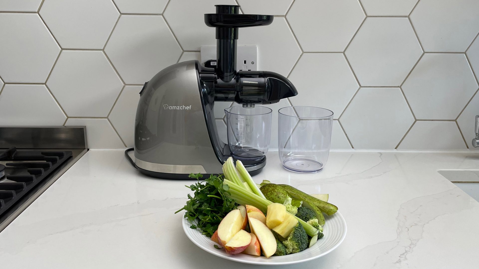 Amzchef Slow Juicer ZM1501