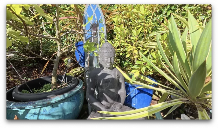 DJI Osmo Action 5 Pro