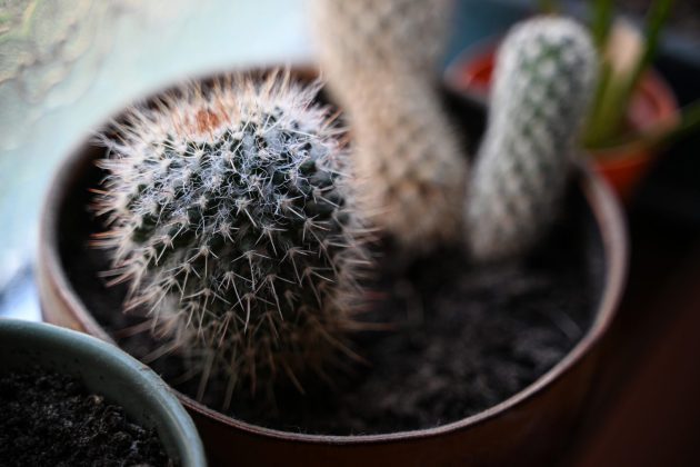 Nikon Z 28-75mm f/2.8