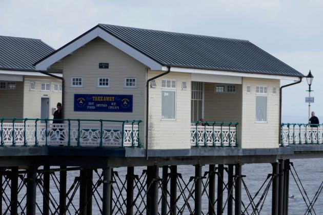 Panasonic Lumix ZS99 / TZ99