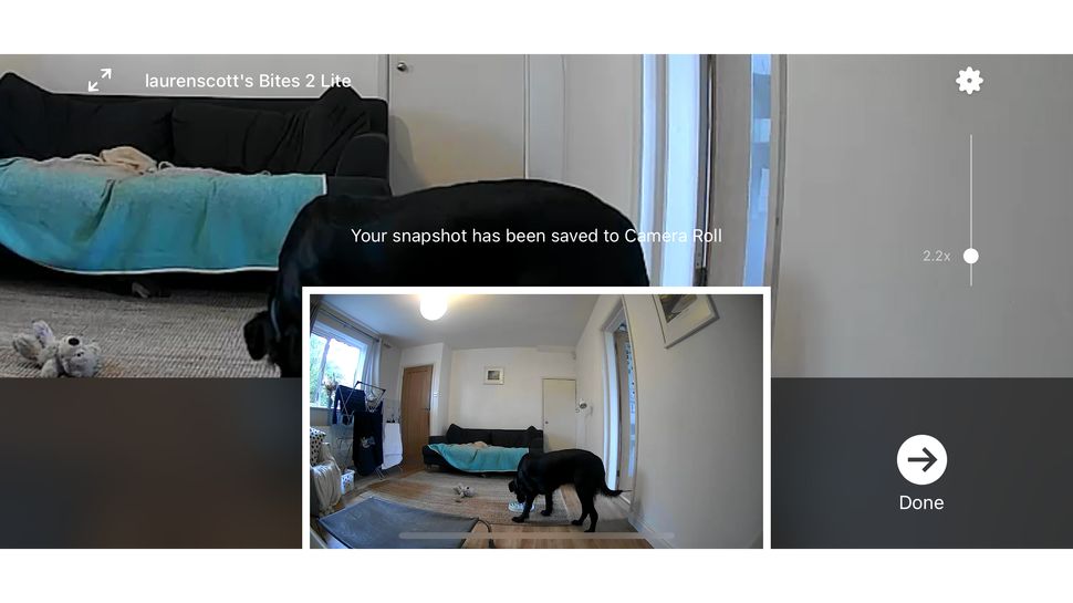 Petcube Bites 2 Lite – обзор автоматической кормушки картинка Petcube Bites 2 Lite-12