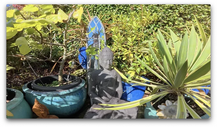 DJI Osmo Action 5 Pro