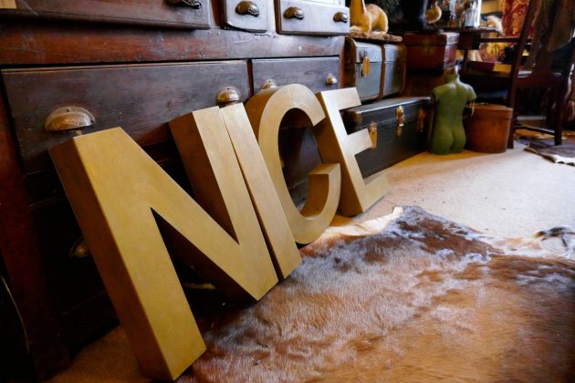 Panasonic Lumix ZS99 / TZ99